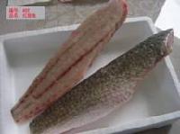  Red   sea   fish 