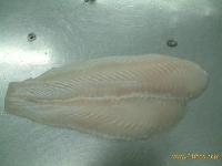  FROZEN   PANGASIUS   FILLET 