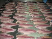 FROZEN PANGASIUS FILLET - untrimmed