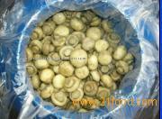 SALTED CHAMPIGNONS
