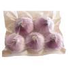 Onions