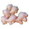 Semi Dried Ginger