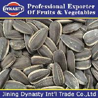 Sunflower seeds