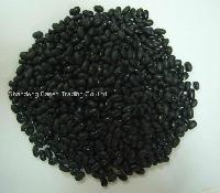 Small black kidney bean