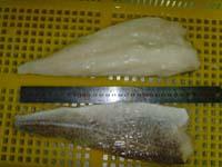 Atlantic cod fillets