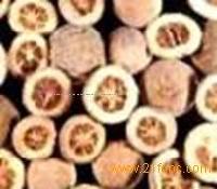  Citrus   Aurantium  P.E., Citrus   aurantium   L .P.E.