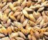 Oat P.E., health  care product