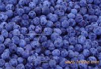 Blueberry Anthocyanin