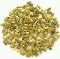 Snow white pumpkin seeds Kernels