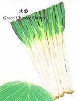 SCALLION