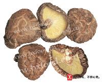 WOODLOG-GROWN SHIITAKE