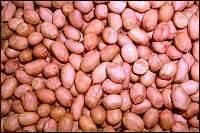 ORGANIC PEANUT