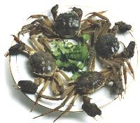 the  whole  crab