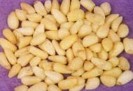 B Grade Pine nuts kernels