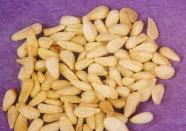 C Grade Pine nuts kernels