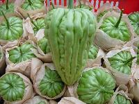 balsam pear