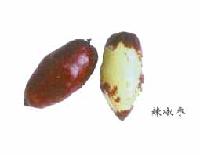 PEPPER JUJUBE
