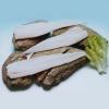 Dried & Salted Cod Fillets