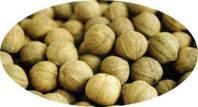 Hickory nut