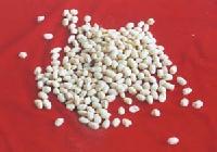 PEELED RAW KERNELS