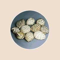  Dried   mushroom 