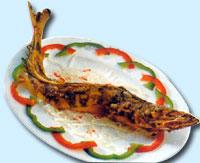 South  Pole  shrimp fish