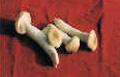 Agrocybe cylindracea