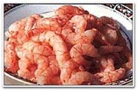 Shrimp
