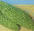 Balsam pear