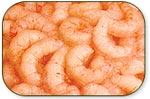 Frozen  Peeled   Shrimp 