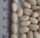 White kidney beans