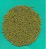 mung bean