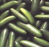  Salted   Cucumber 