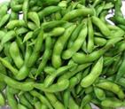 IQF  soybean s in  pod s