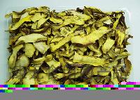 Boletus edulis mushroom