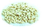 Blanched Kernel