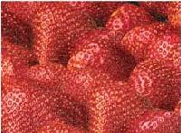  Quick - frozen  strawberries