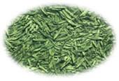  Organic   Longjing   tea 