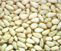  RED   PINE  NUT KERNEL