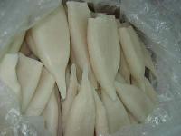 squid
