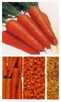 Dehydrated   carrot s