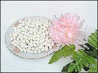 FRAGRANS DUMPLINGS