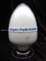  Collagen   hydrolysate 