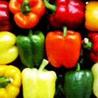 paprika