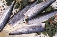 DACE