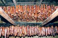  BACON 