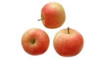 Gala Apple