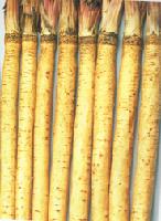 burdock
