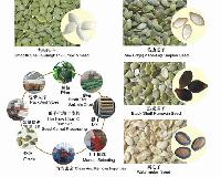 Pumpkin Seeds