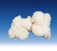 pig casing